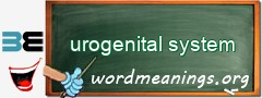 WordMeaning blackboard for urogenital system